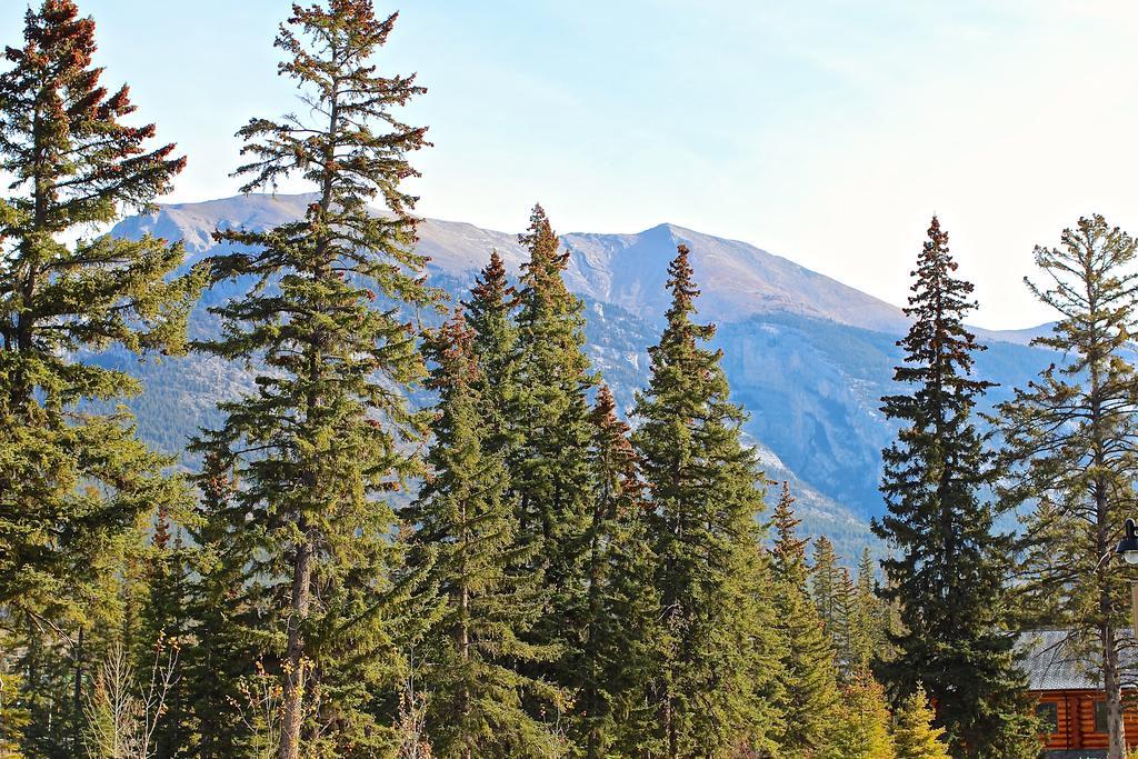 Luxury Canmore Vacations Kültér fotó